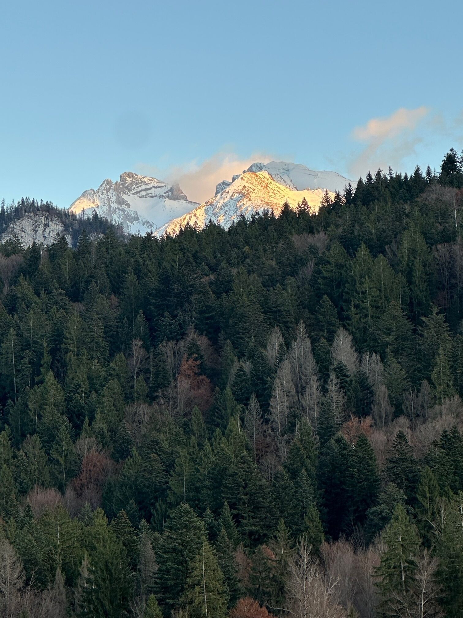 Un paysage montagneux caractérisé par une forêt dense et des sommets enneigés.