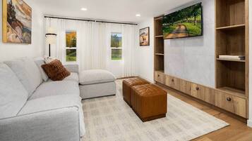 Smart TV, chimenea, libros y estéreo