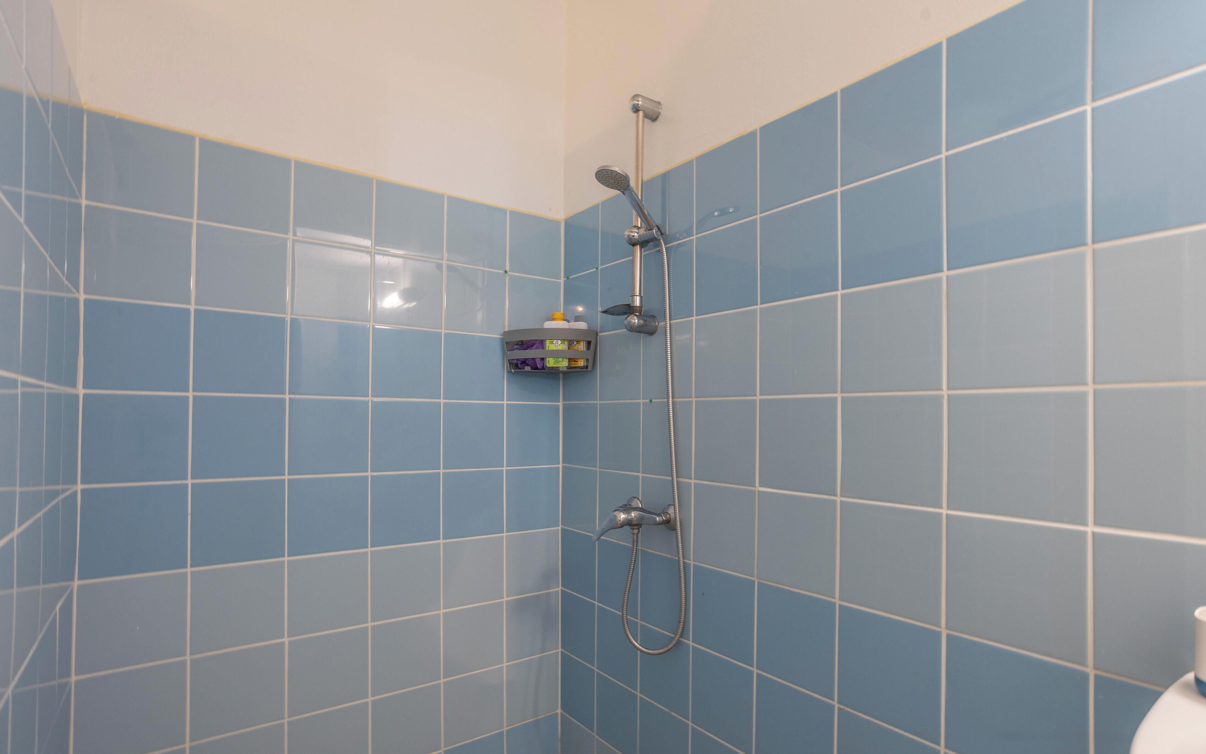 Regadera y papel de baño 