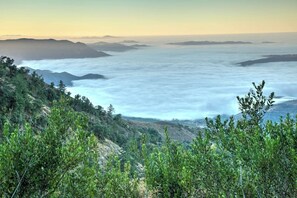 Miscellaneous - Boutique Nature Retreat in the Palomar Mountains (Pauma Valley)