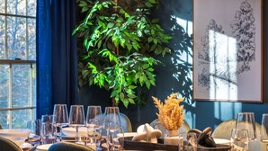 Un coin repas avec une table mise pour le repas, une grande plante en pot et une œuvre d’art encadrée accrochée au mur.