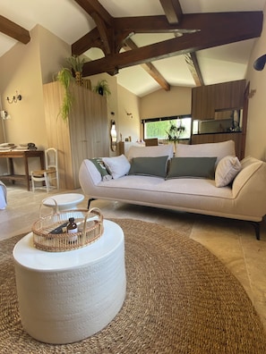 Smart TV, chimenea y libros