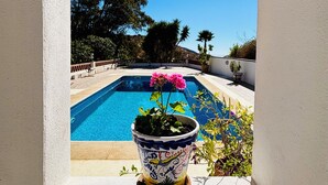 Blick durch ein Rundbogenfenster auf einen Poolbereich mit einem Blumentopf im Vordergrund.
