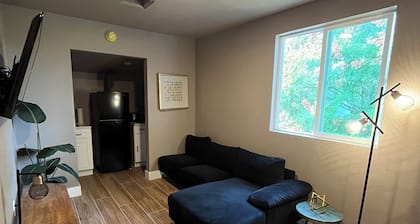 Central Orlando 1BR Apartment – Modern & Stylish