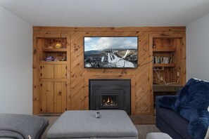 Televisión, chimenea y libros 