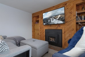 TV, fireplace, books
