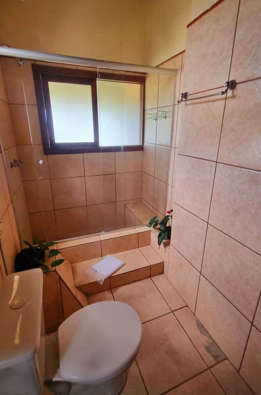 A small bathroom with a toilet, a shower area, and a window.