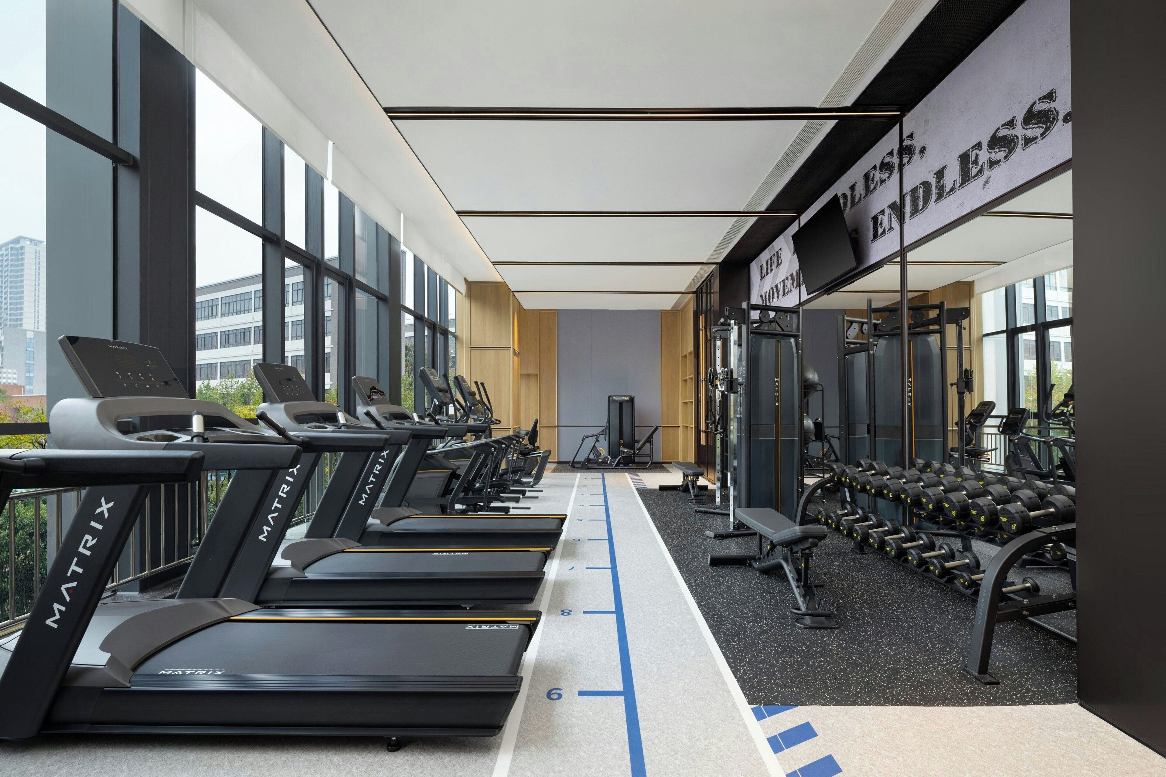 A gym with treadmills, dumbbells, and exercise equipment.
