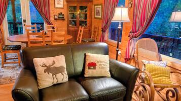Smart TV, fireplace, DVD player, books