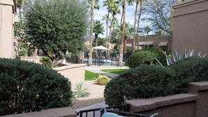 A courtyard with palm trees, a cactus, and a covered seating area. - Carefree Paradise (Carefree)