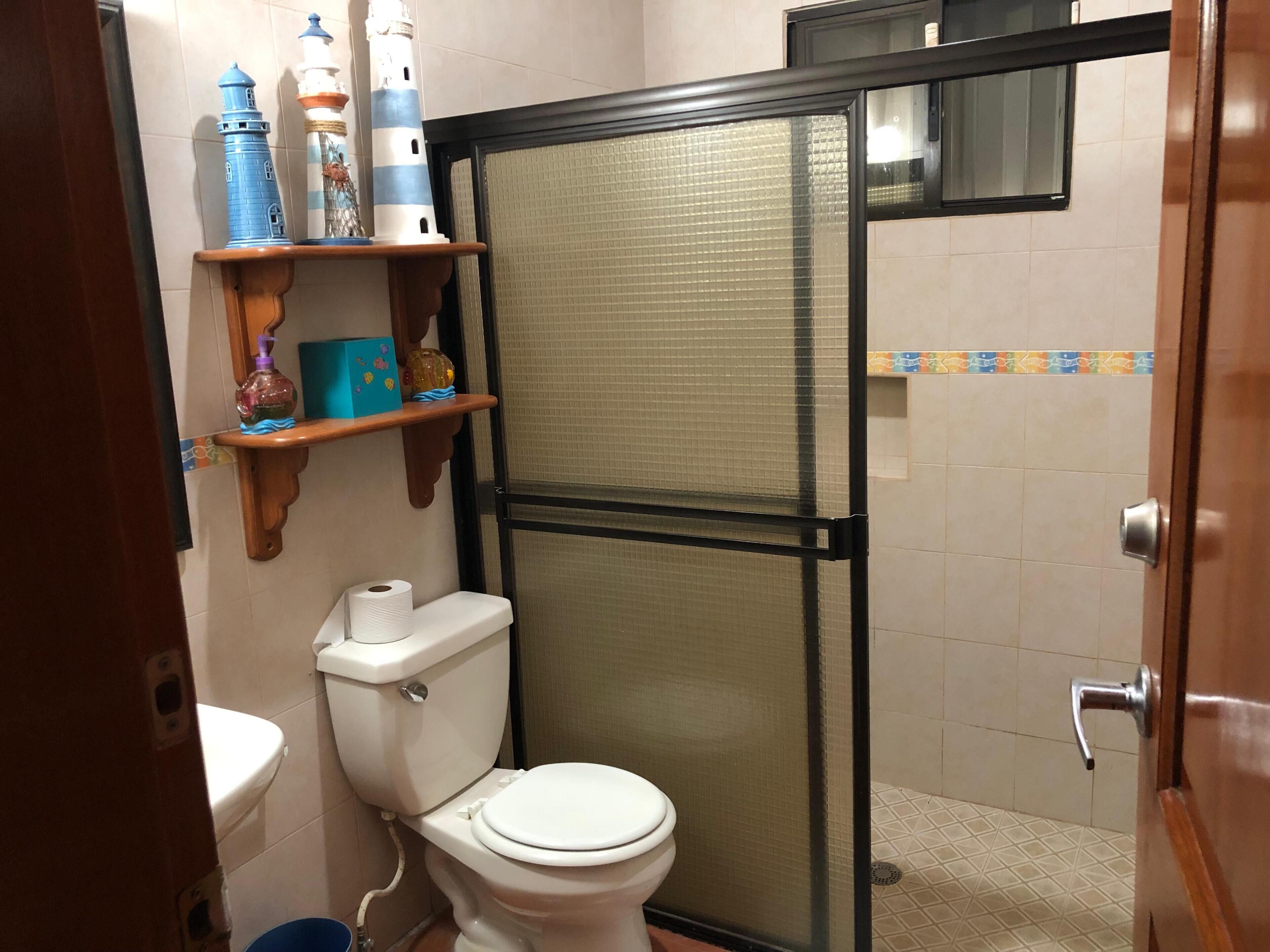 Shower, towels, soap, toilet paper