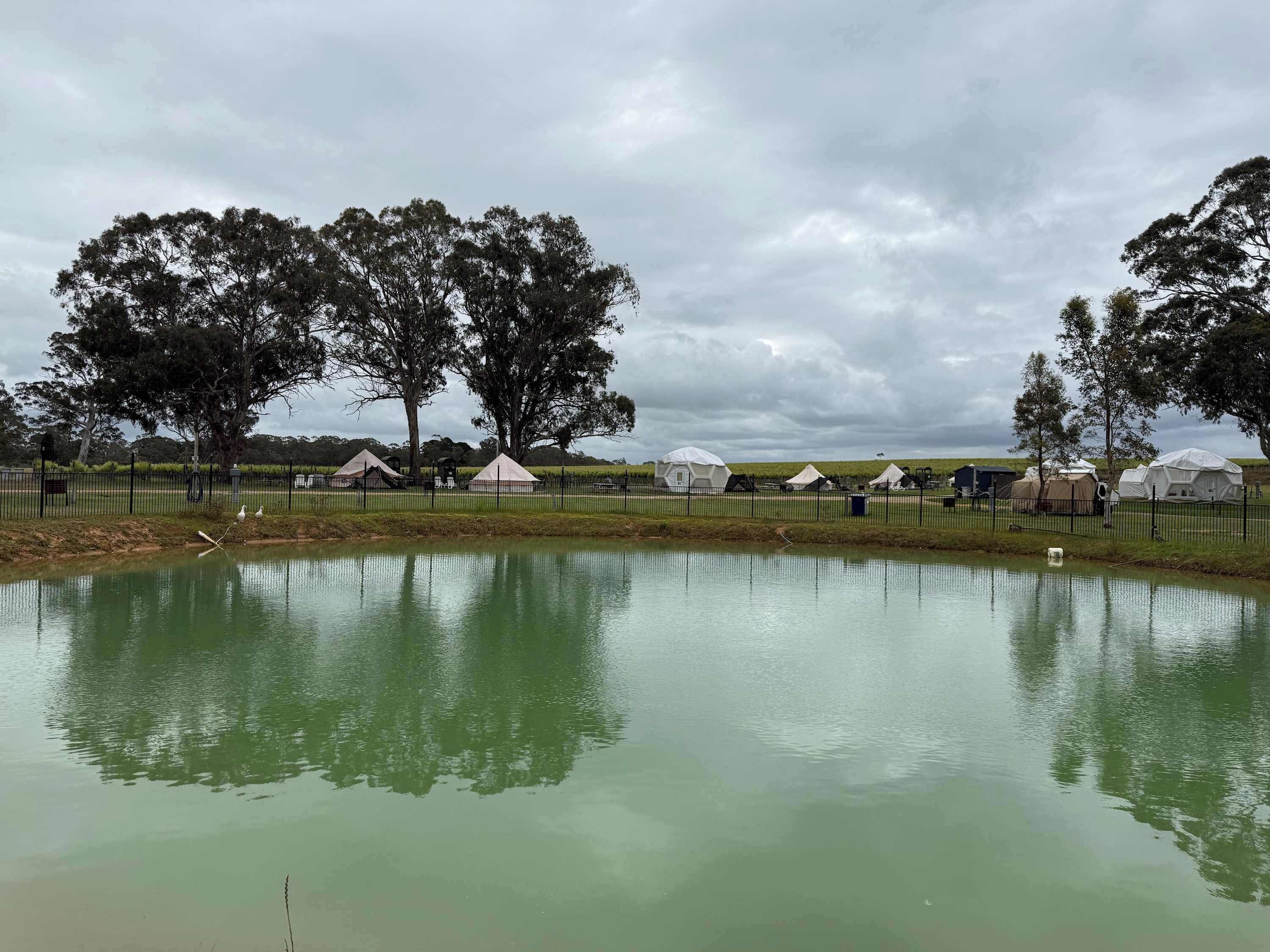 Un terrain de camping paisible, avec des tentes et un étang, entouré d’arbres et d’une clôture.