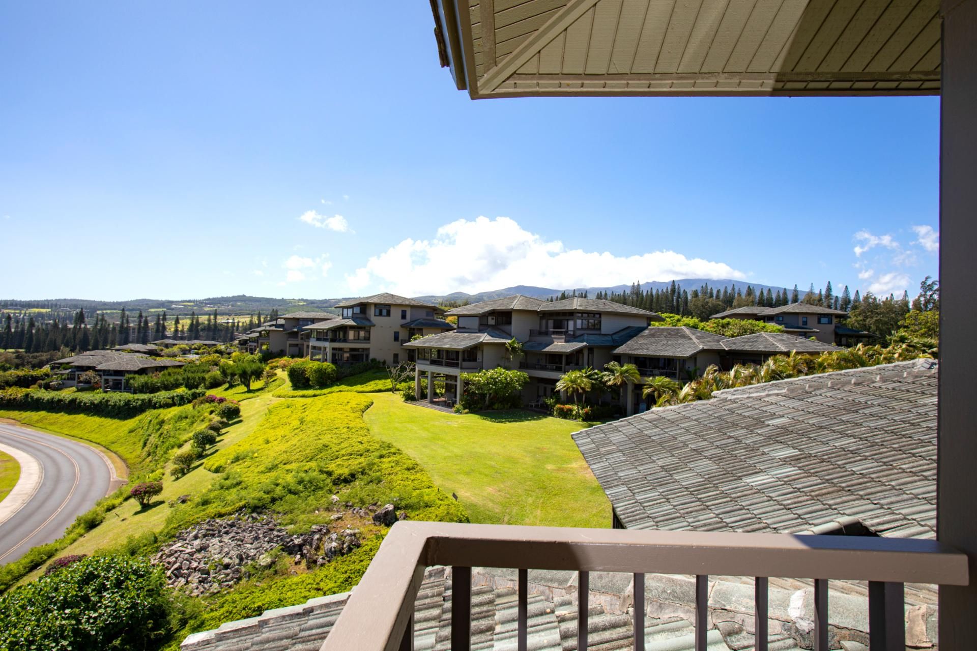 A residential area with multiple houses, a curved road, and a mountain in the background.