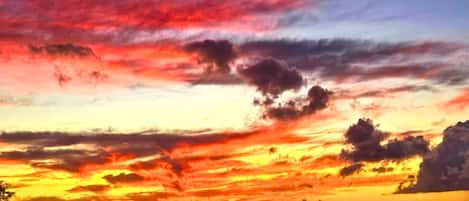 A sunset over a coastal landscape with silhouettes of trees and a distant view of the ocean.