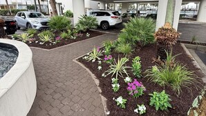 Un edificio en la zona de muelles con un paseo pavimentado, palmeras y parterres de flores ajardinados.
