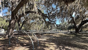A park with large trees, a swing set, and a picnic area. - #8 2-bedroom cottage in Salt Springs Under New Management, ice machine on site. (Salt Springs)