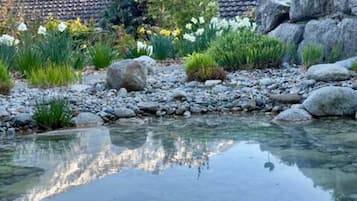 Uma fonte com água cristalina, pedras e plantas, um muro de pedra, e um edifício com telhado de azulejos ao fundo.