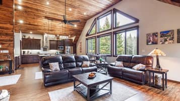 TV, fireplace, DVD player, video library