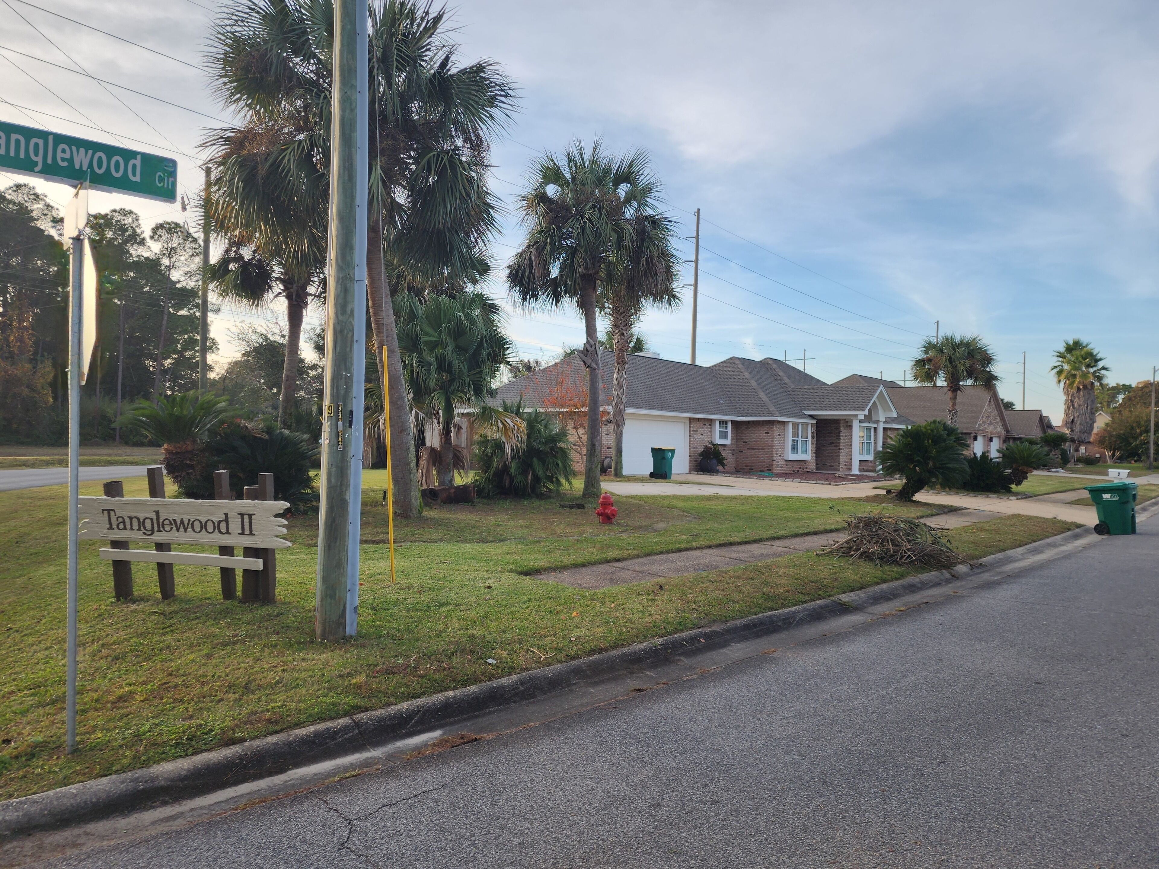 A residential street with houses, palm trees, and a street sign for Tanglewood.