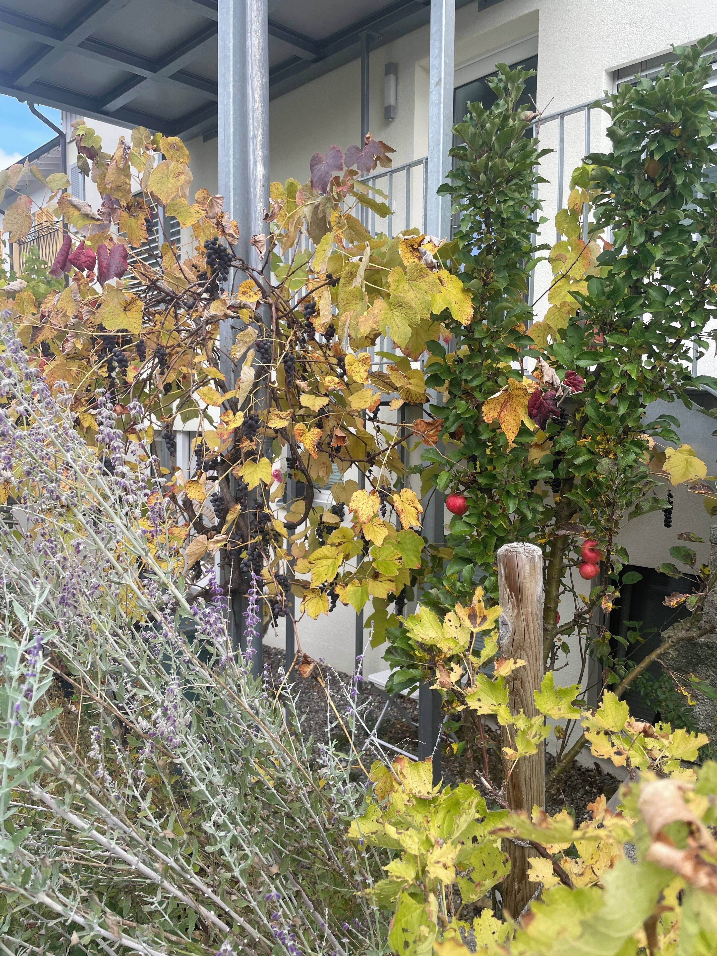 Détail de l’extérieur