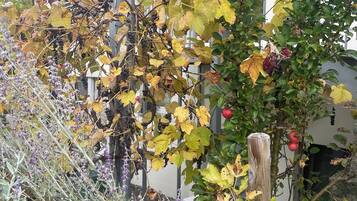 DĂ©tail de lâextĂ©rieur