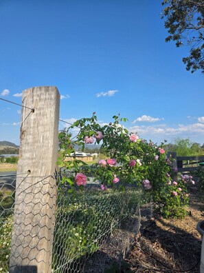 Property grounds - Unwind at the new and beautiful Blue Wren Hill 5 minutes from Gloucester (Gloucester)