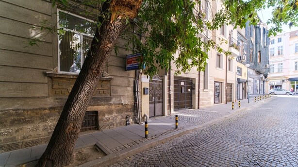 Una calle adoquinada flanqueada por edificios, un árbol y bolardos a lo largo de la acera.