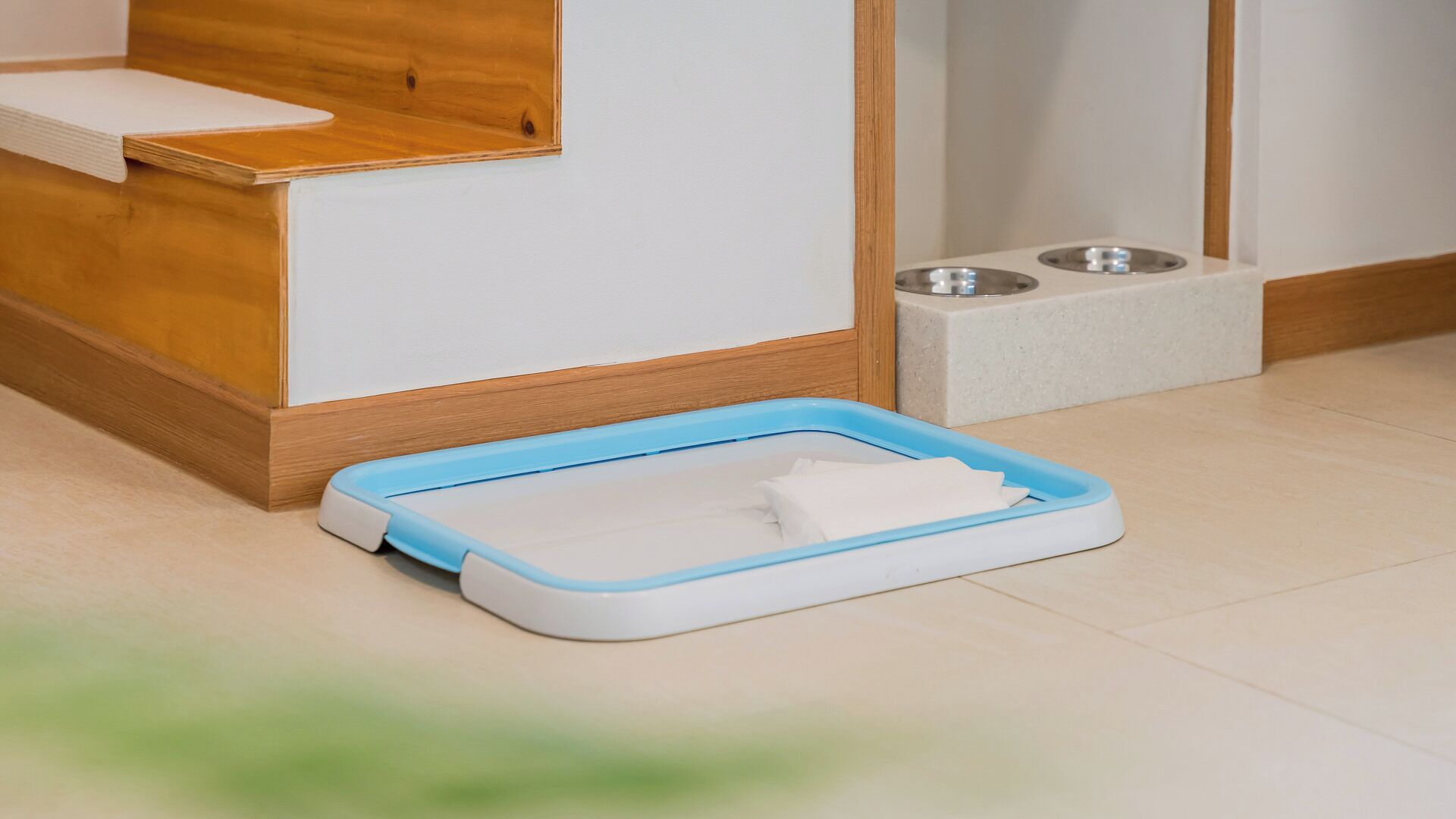 A pet bed with a blue and white tray, a wooden bench, and a tiled floor.