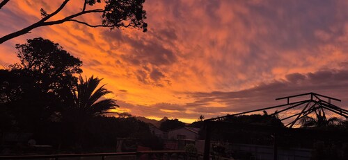 Hidden gem in the heart of te kopuru