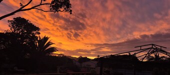 Hidden gem in the heart of te kopuru