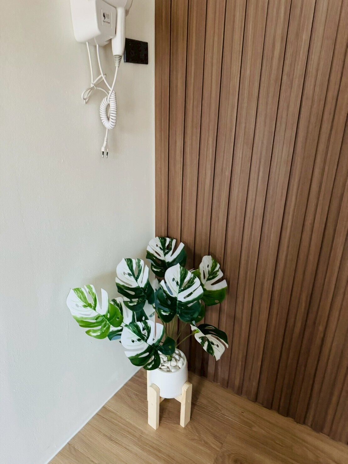A small white plant on a wooden stool against a wooden wall with a power outlet above.