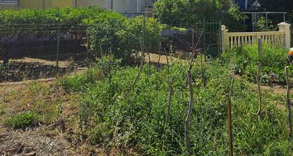 Studio Antica Balcony & Sea View