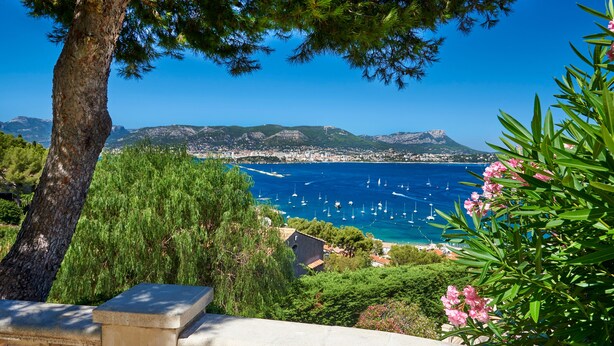 A coastal view with a stone balustrade, a tree, and pink flowers. - Quiet apartment close to beach, Saint Mandrier, France (Saint Mandrier)
