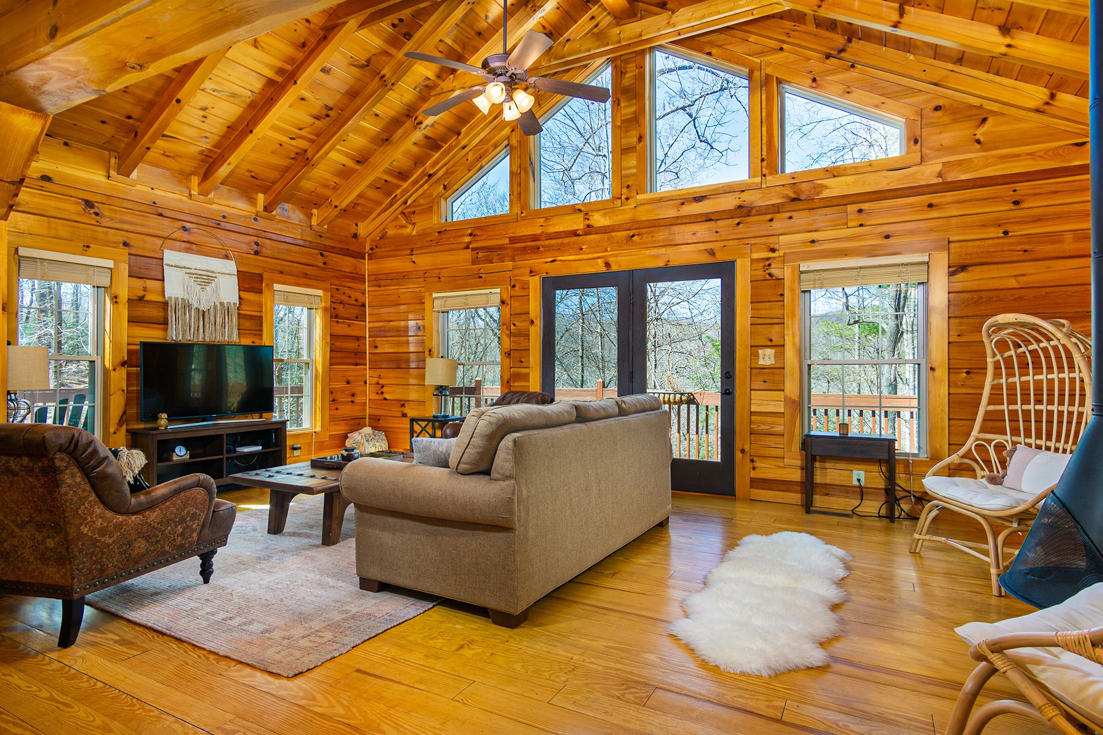 TV, fireplace, video games, DVD player