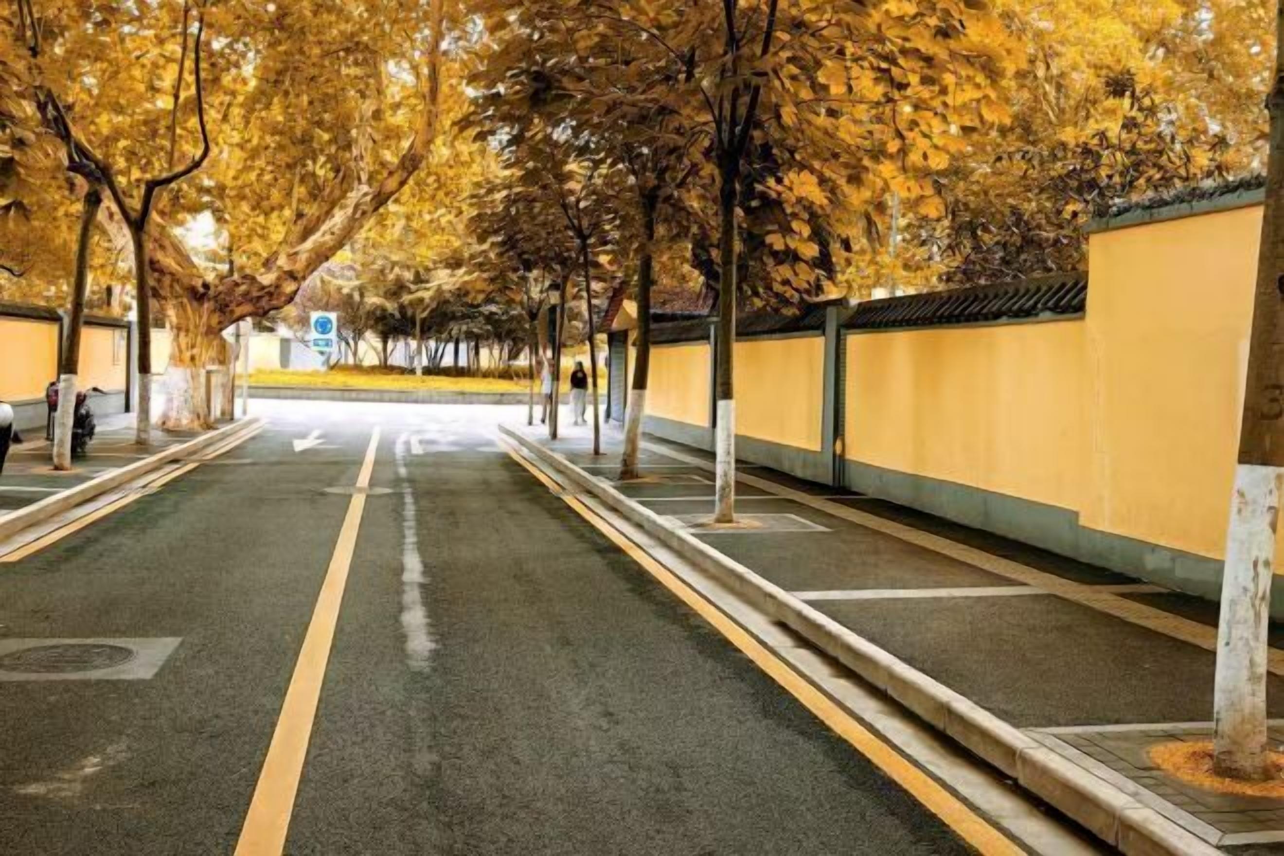 A tree-lined street with a clear path and a building with a yellow facade.
