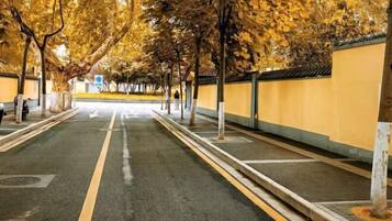A tree-lined street with a clear path and a building with a yellow facade.