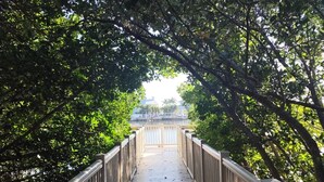 Unclassified image, 4 of 60, button - Boutique Beach Escape in Indian Rocks Beach - 150 steps to the sand (Indian Rocks Beach)