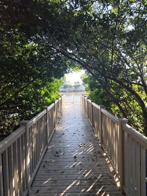 Property grounds - 2-bedrooms quiet duplex in serene Indian Rocks Beach 150 steps to the sand (Indian Rocks Beach)