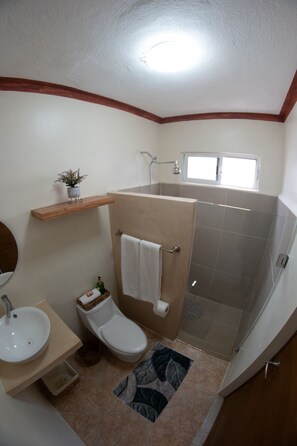 Shower, hair dryer, towels, soap - La Huerta House (Mérida)