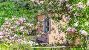 Um edifício com varanda, rodeado por vegetação exuberante e flores cor-de-rosa.