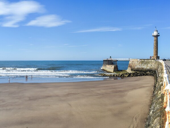 Fishing - 3 bedroom accommodation in Whitby (Whitby)