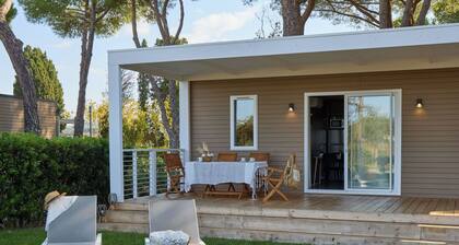 Beautiful apartment in villa for 5 guests with pool, WIFI, A/C, TV and terrace