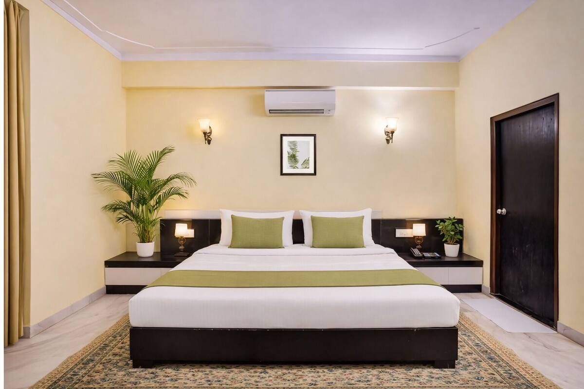 A hotel room with a bed, two bedside tables, a potted plant, an air conditioning unit, and a door.