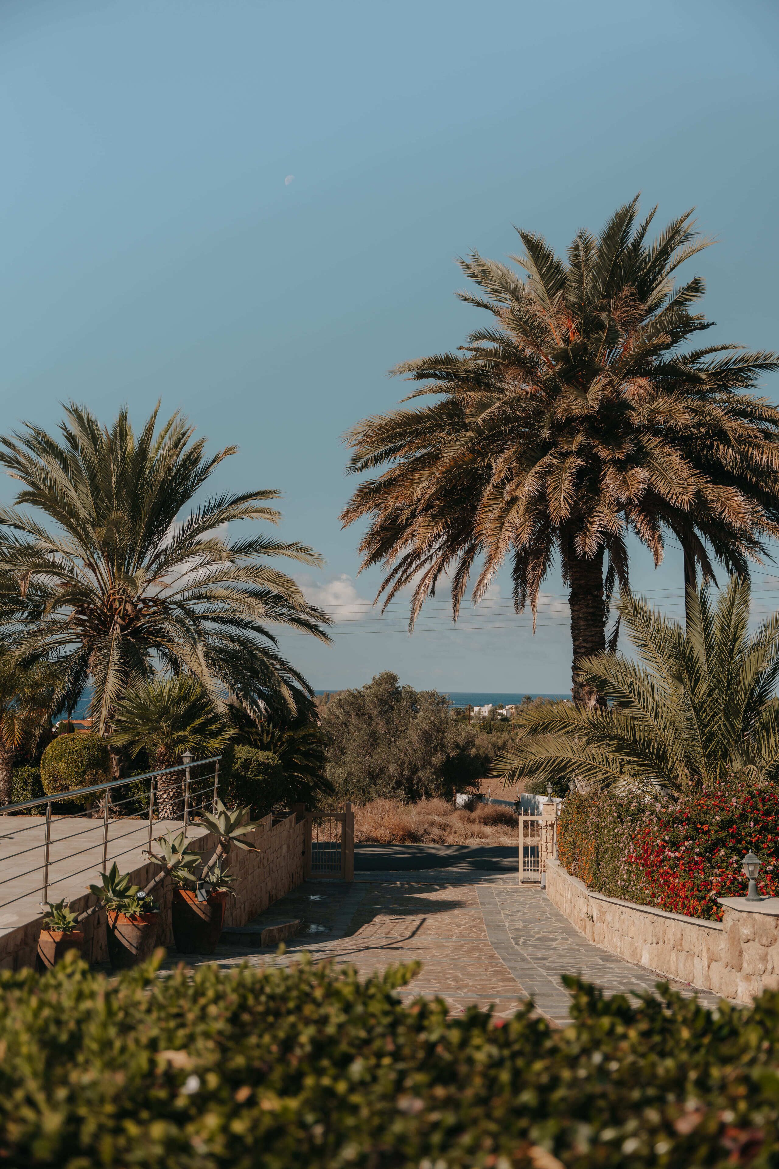 المنطقة المحيطة بالمنشأة