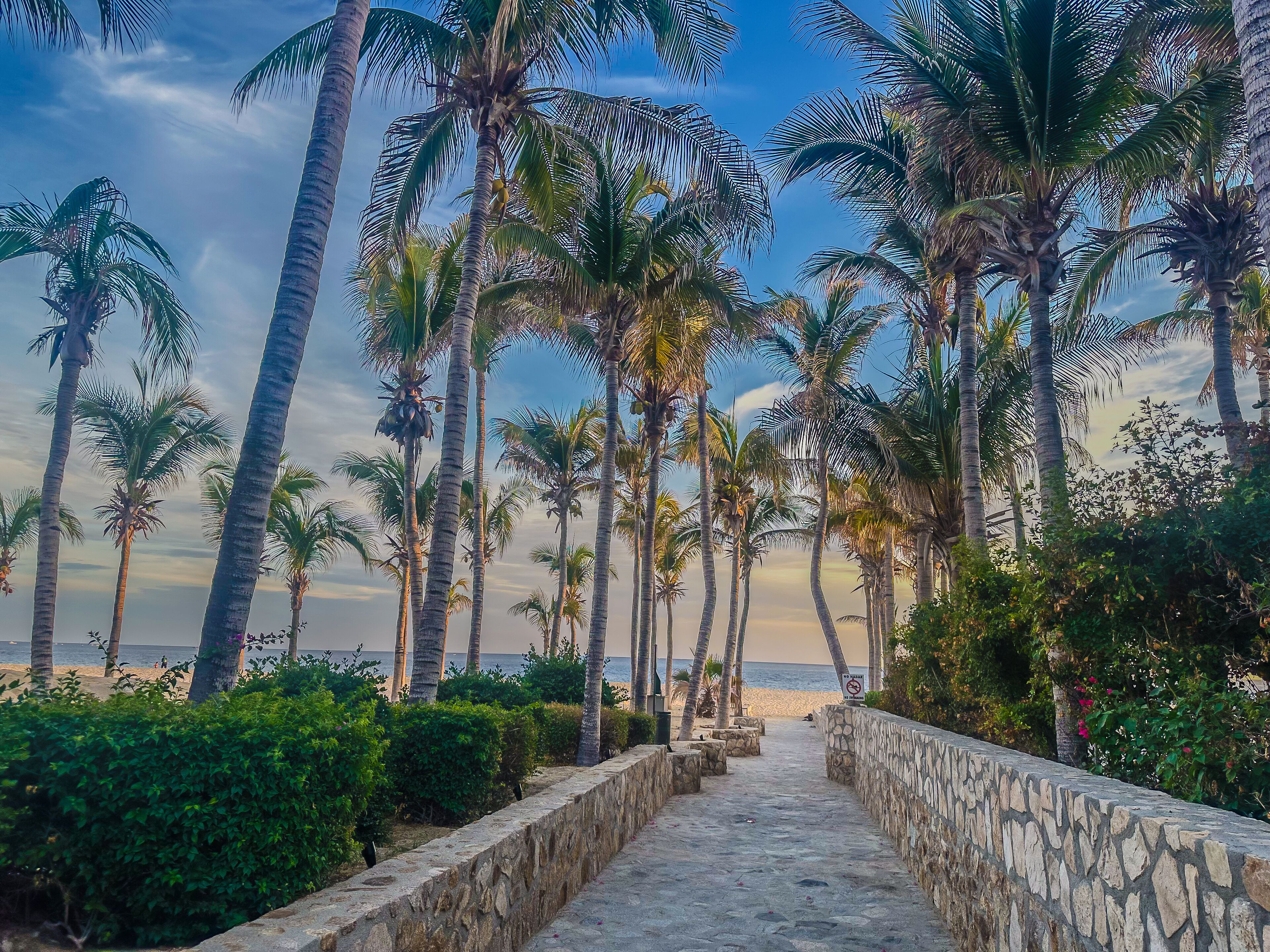 Sun-loungers, beach towels