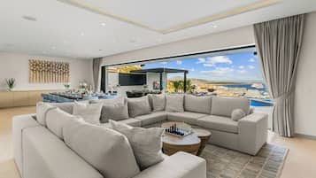 Smart TV, fireplace, books, stereo