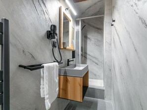 Shower, hair dryer - Charming Alpine guesthouse for 23 people (Hollersbach im Pinzgau)