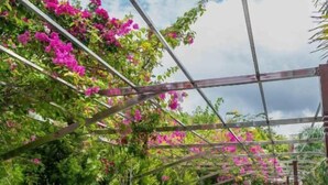 A covered outdoor seating area with wooden loungers and a metal railing, surrounded by lush greenery and pink flowers. - Hotel Quick Twenty And Riverside (Jitpur Simara)