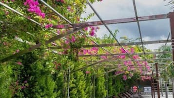 Framhlið gististaðar