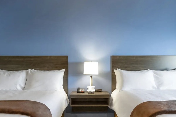 Unwind in crisp linens with twin beds and soft lighting.